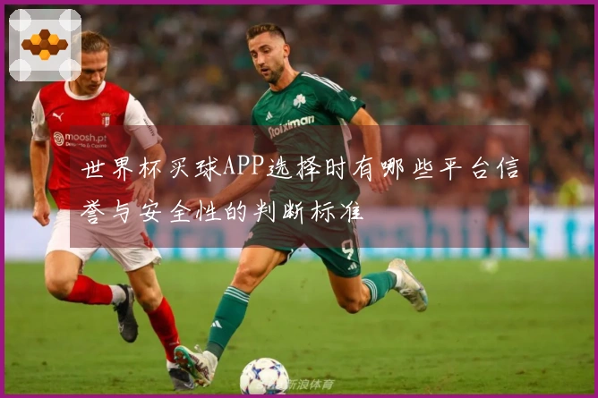 世界杯买球APP选择时有哪些平台信誉与安全性的判断标准