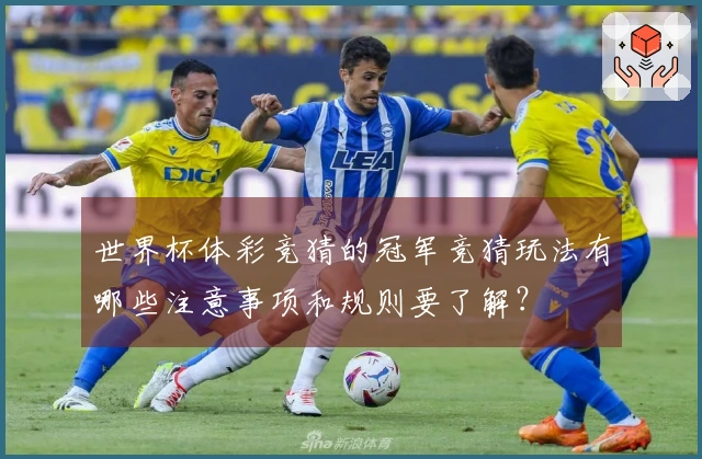 世界杯体彩竞猜的冠军竞猜玩法有哪些注意事项和规则要了解？