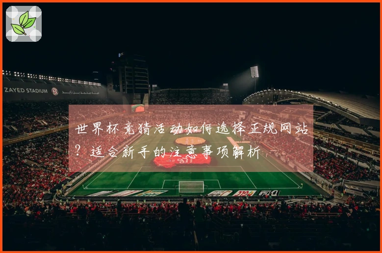 世界杯竞猜活动如何选择正规网站？适合新手的注意事项解析