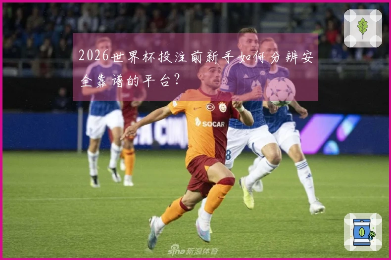 2026世界杯投注前新手如何分辨安全靠谱的平台？