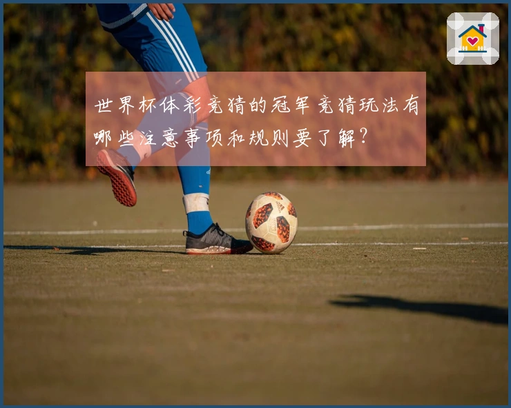 世界杯体彩竞猜的冠军竞猜玩法有哪些注意事项和规则要了解？