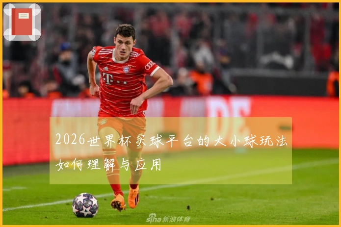 2026世界杯买球平台的大小球玩法如何理解与应用