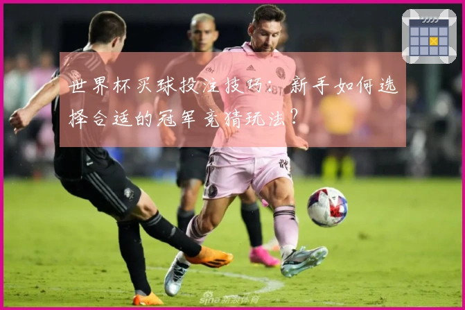 世界杯买球投注技巧：新手如何选择合适的冠军竞猜玩法？