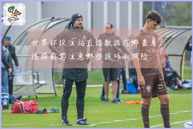 世界杯投注站直播数据在哪查看？选择前需注意哪些技巧和风险